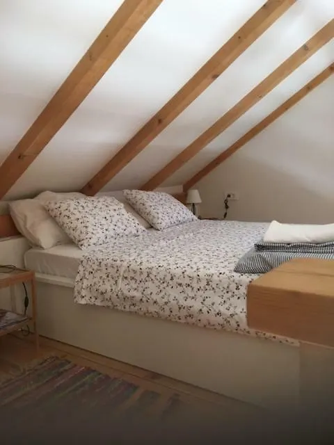 Dream House Villa Zaglav