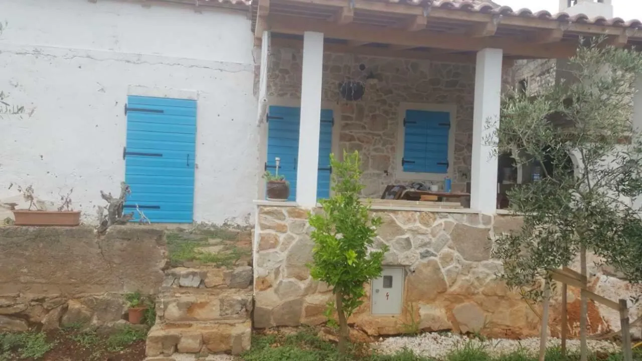 Dream House Villa Zaglav Holiday home