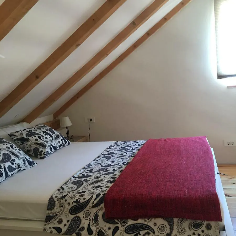 Holiday home Dream House Villa Zaglav Croatia