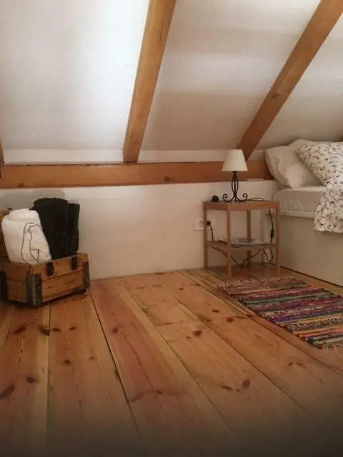Dream House Villa Zaglav Croatia