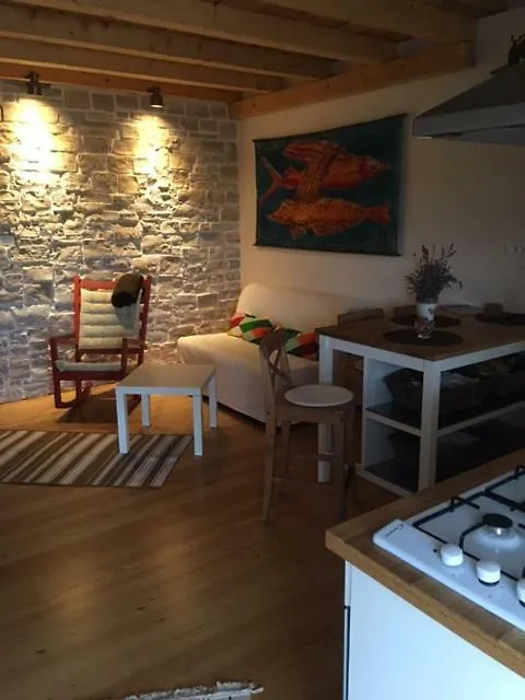 Dream House Villa Zaglav Holiday home