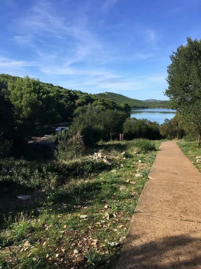 Holiday home Dream House Villa Zaglav Croatia
