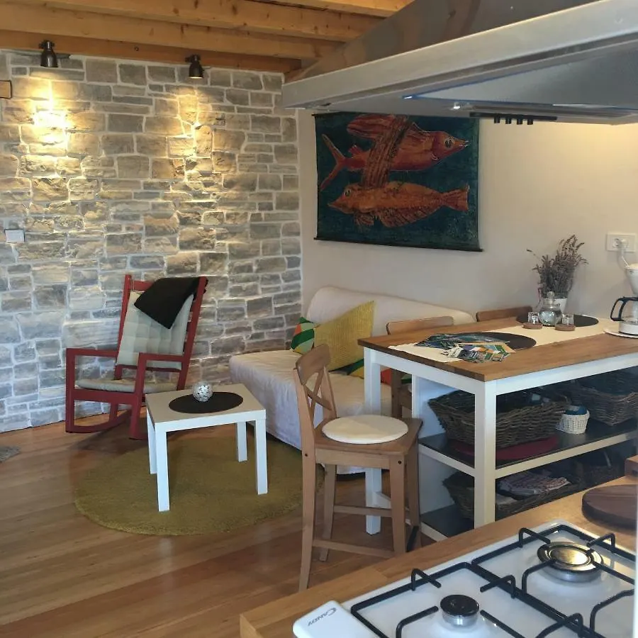 Dream House Villa Zaglav Holiday home